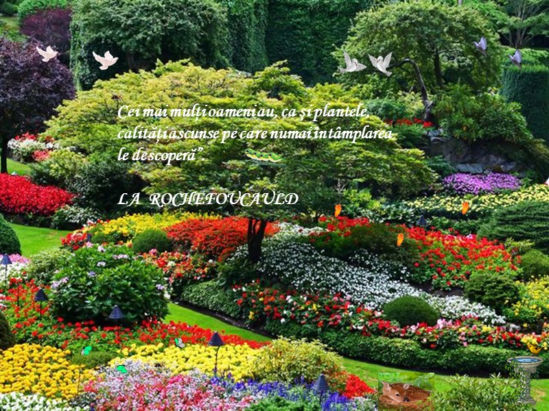 Cei mai mulţi oameni au, ca şi plantele, calităţi ascunse pe care numai întâmplarea